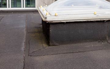 disadvantages of East Cornworthy flat roofs