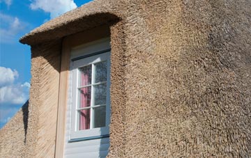 East Cornworthy thatch roof disadvantages