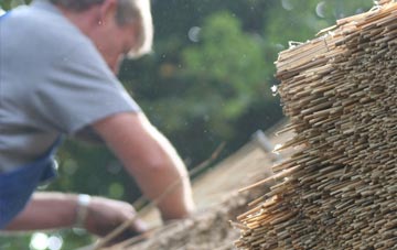 professional East Cornworthy thatchers