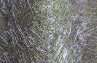 East Cornworthy fibreglass roof work